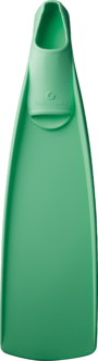 Barracuda