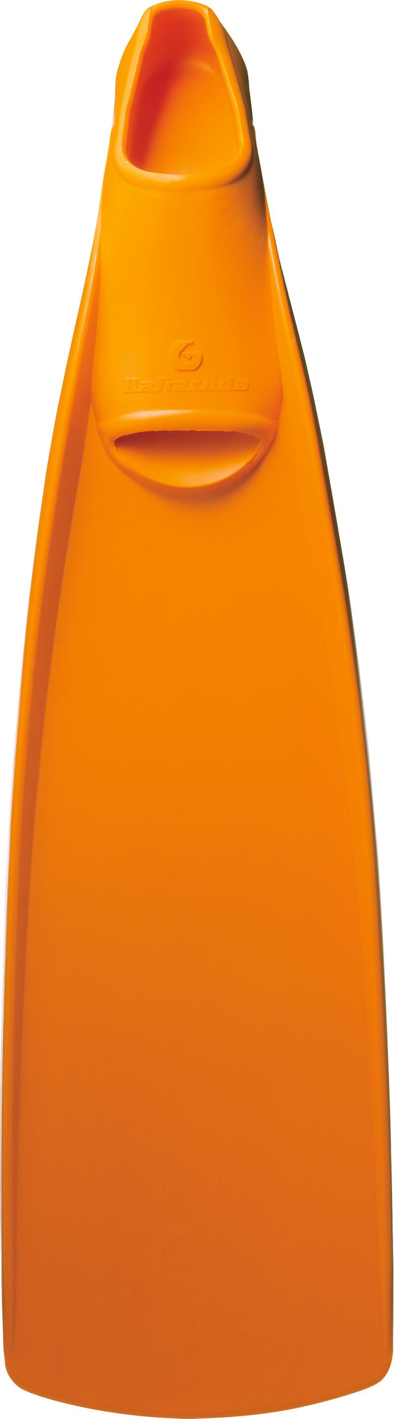 Barracuda